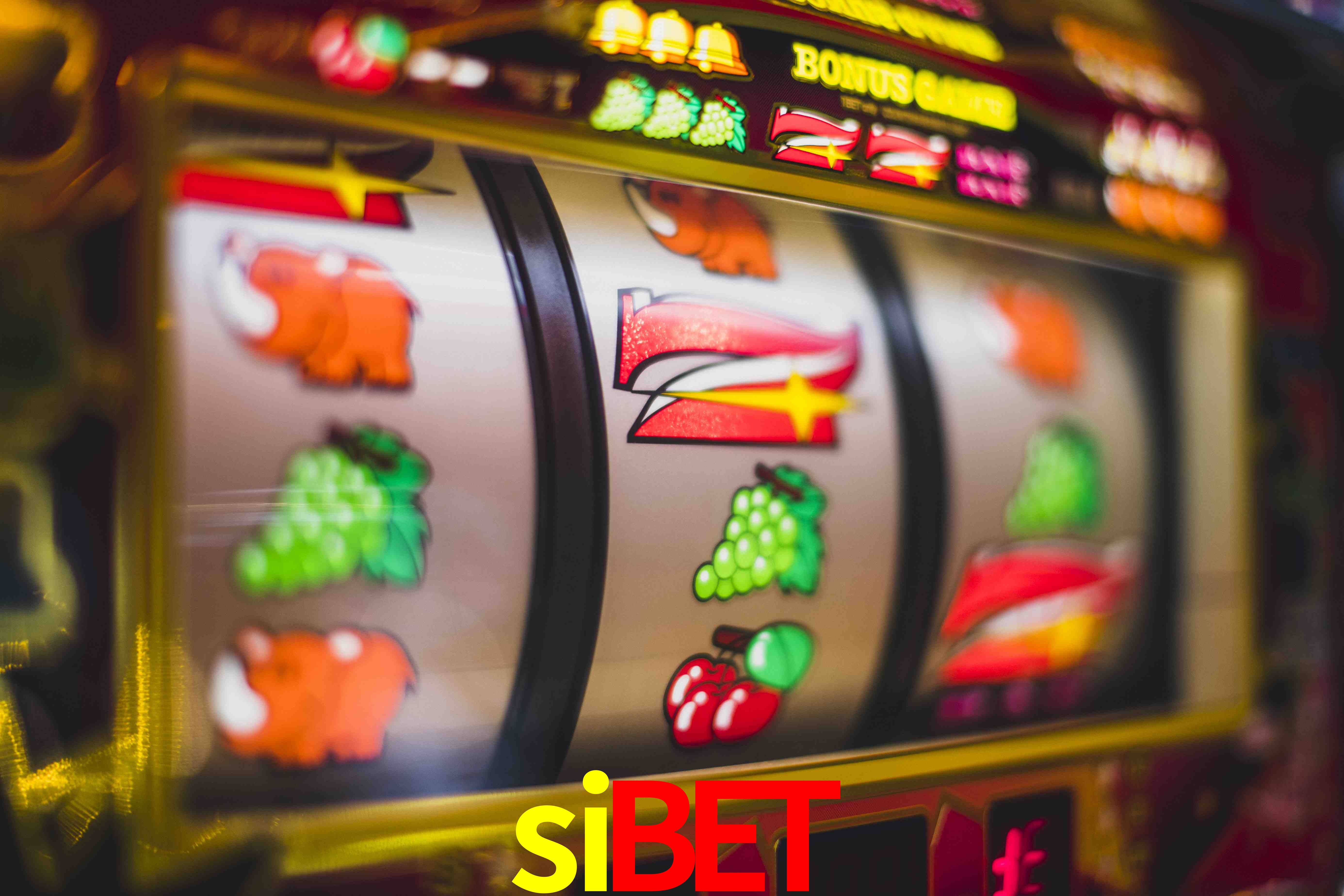 Tennis Betting sibet