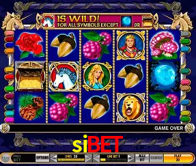 Descubra o Mundo do Cassino Online com sibet