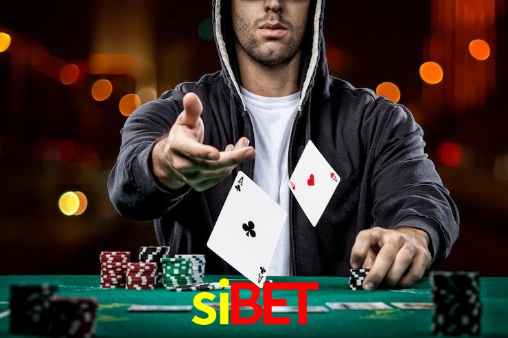 sibet,sibet.com